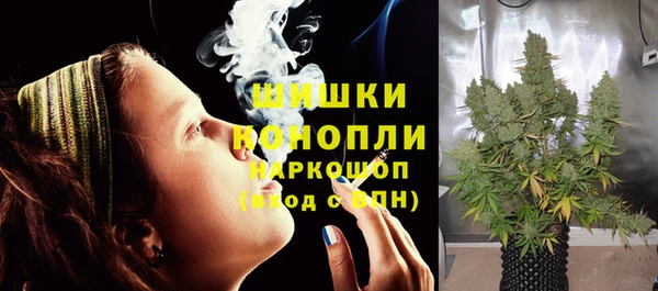 молекула духа Майский